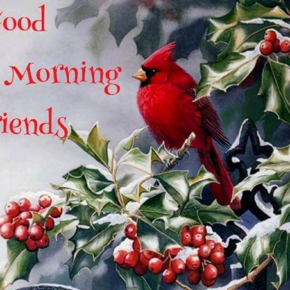 Meet your Posher, Dr T